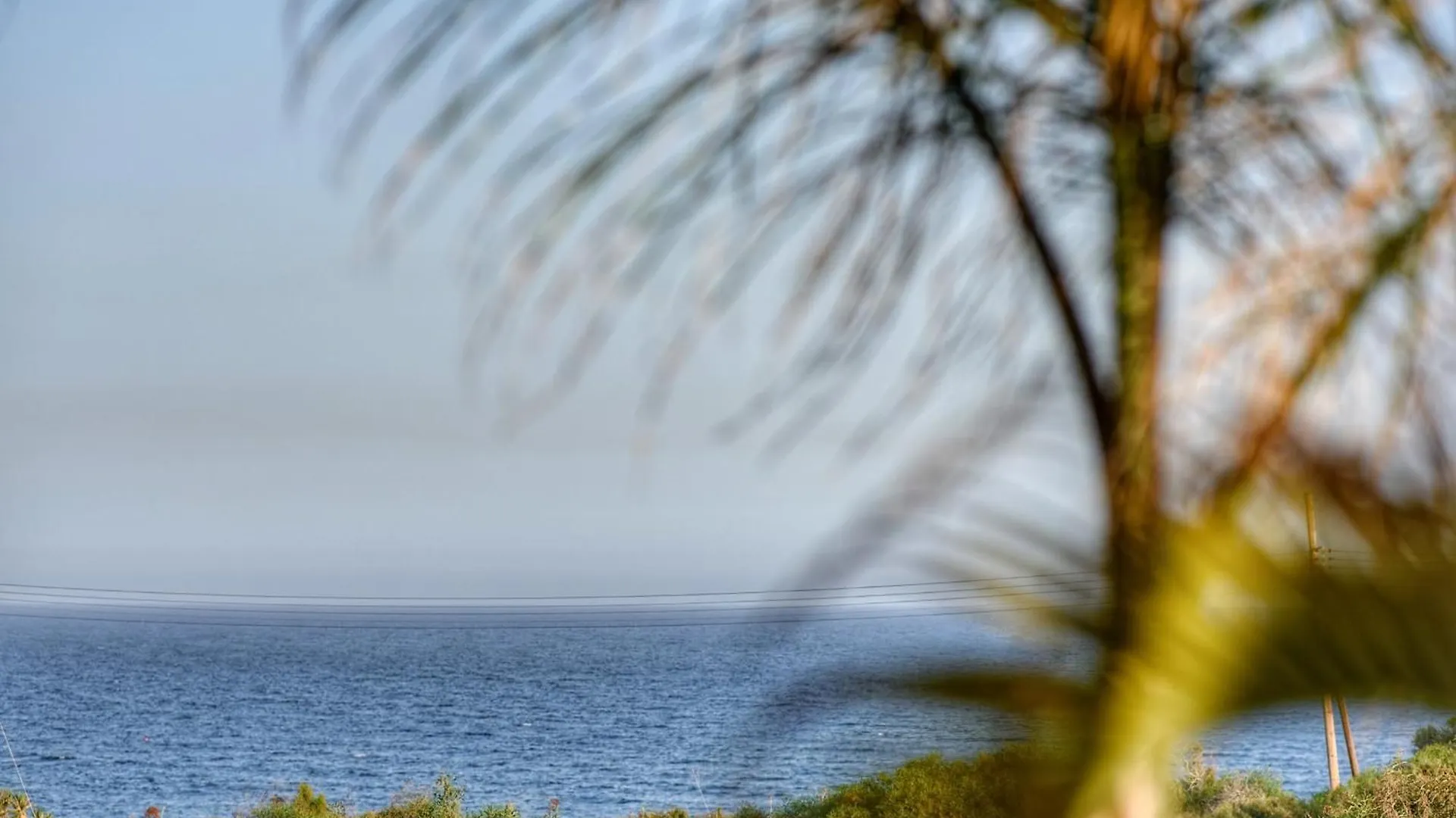 Oasis By The Sea - Cyprus Villa Larnaca